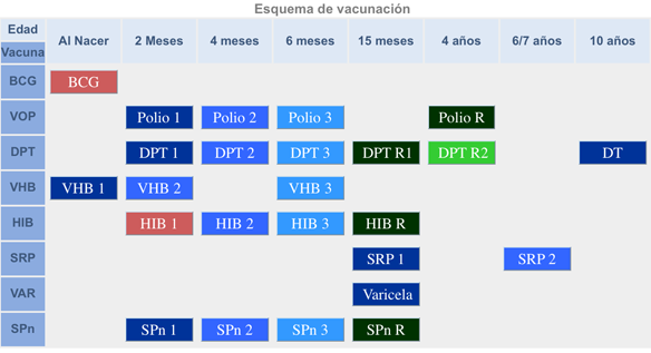 Expediente médico-clínico en línea